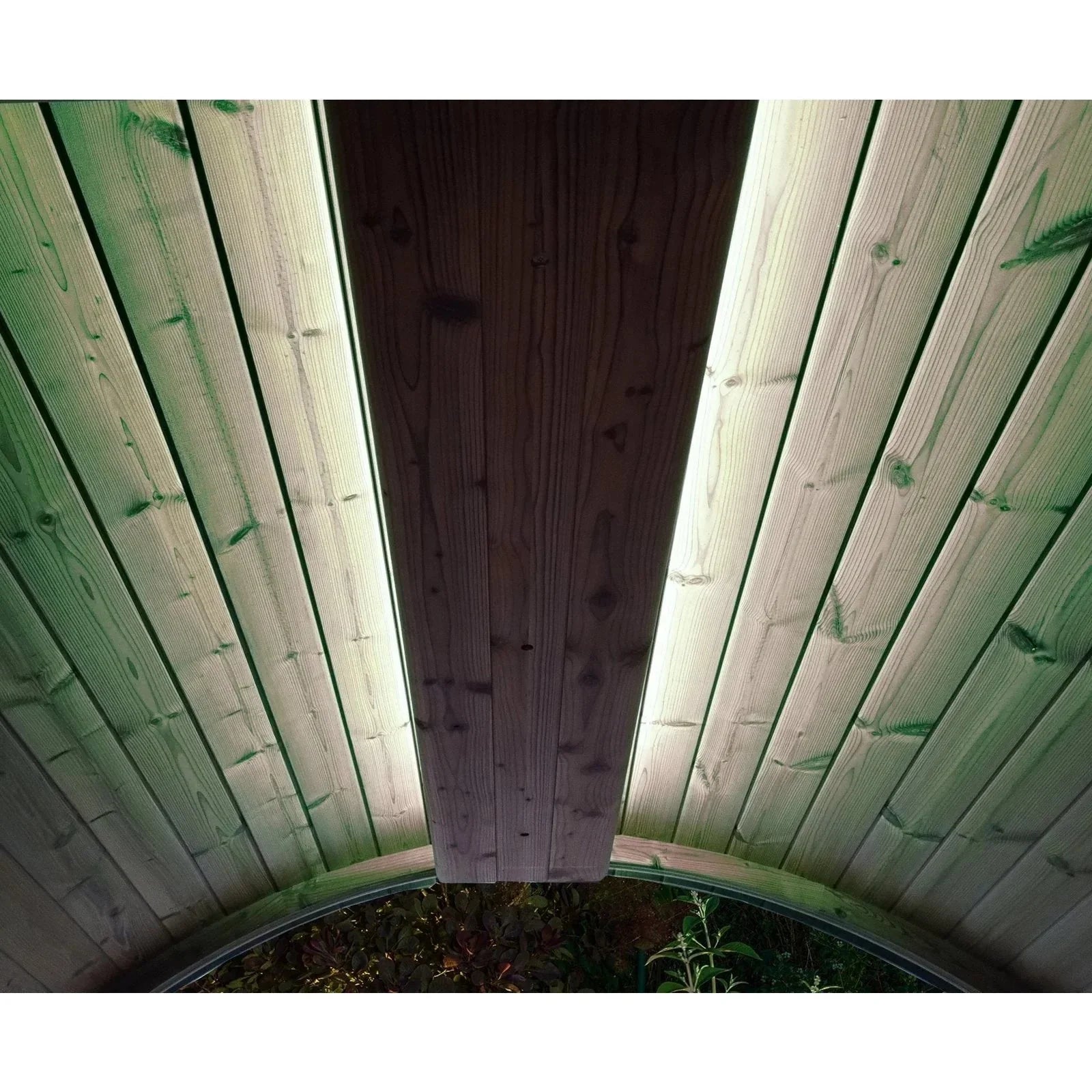 SaunaLife Emood Color Lighting for ERGO Sauna SL-EMOOD-SaunaLife-HQ Sauna